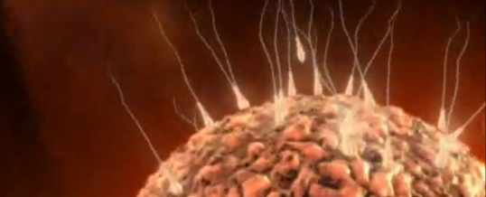 PGD Gender Selection Thailand – Preimplantation Genetic Diagnosis IVF