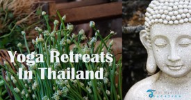 The Intelligent Way to Choose Yoga Retreats in Thailand |Yoga Holidays