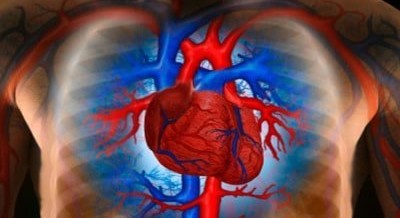 A fix for the broken heart: Heart Stem Cells Therapy