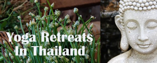 Yoga Retreats in Thailand |Yoga Holidays